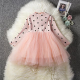 Baby Girls Spring Winter Long Sleeve Tutu Lace Dresses Infantil Newborn 1st Birthday Party Clothes Christening Gown Casual Wear Bigbuy