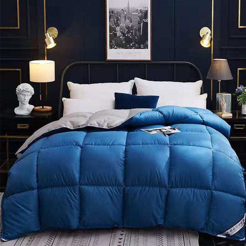 Down Duvet, Winter Duvet, Goose Down Duvet Core, Air Conditioner Bigbuy