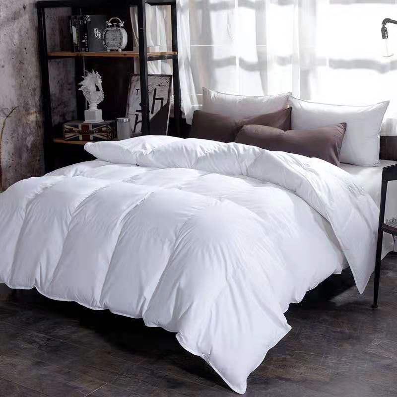 Down Duvet, Winter Duvet, Goose Down Duvet Core, Air Conditioner Bigbuy