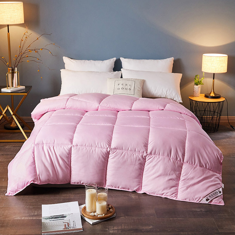 Down Duvet, Winter Duvet, Goose Down Duvet Core, Air Conditioner Bigbuy