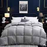 Down Duvet, Winter Duvet, Goose Down Duvet Core, Air Conditioner Bigbuy
