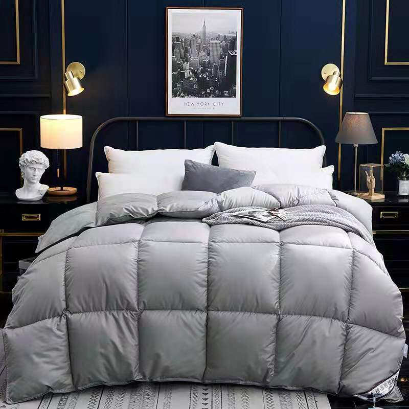 Down Duvet, Winter Duvet, Goose Down Duvet Core, Air Conditioner Bigbuy