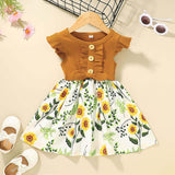 Toddler Kids Baby Girls Clothes Summer Girls Dress Bigbuy