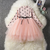 Baby Girls Spring Winter Long Sleeve Tutu Lace Dresses Infantil Newborn 1st Birthday Party Clothes Christening Gown Casual Wear Bigbuy