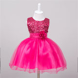 Baby Sequin Dress Flower Girl Wedding Princess Dress Bigbuy