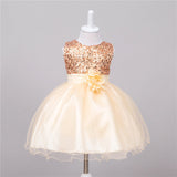 Baby Sequin Dress Flower Girl Wedding Princess Dress Bigbuy
