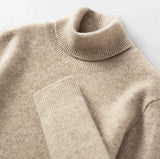 Men's Versatile Knitted Turtleneck Solid Color With Fur Sweater Bigbuy